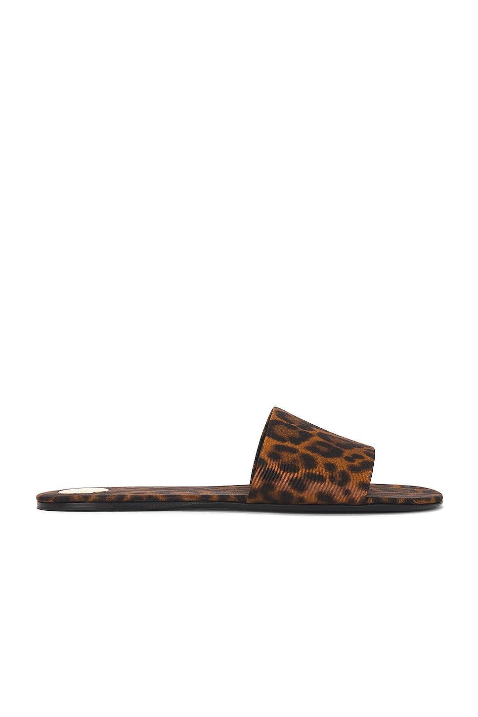 Saint Laurent Carlyle Flat Slide in Brown Product Image