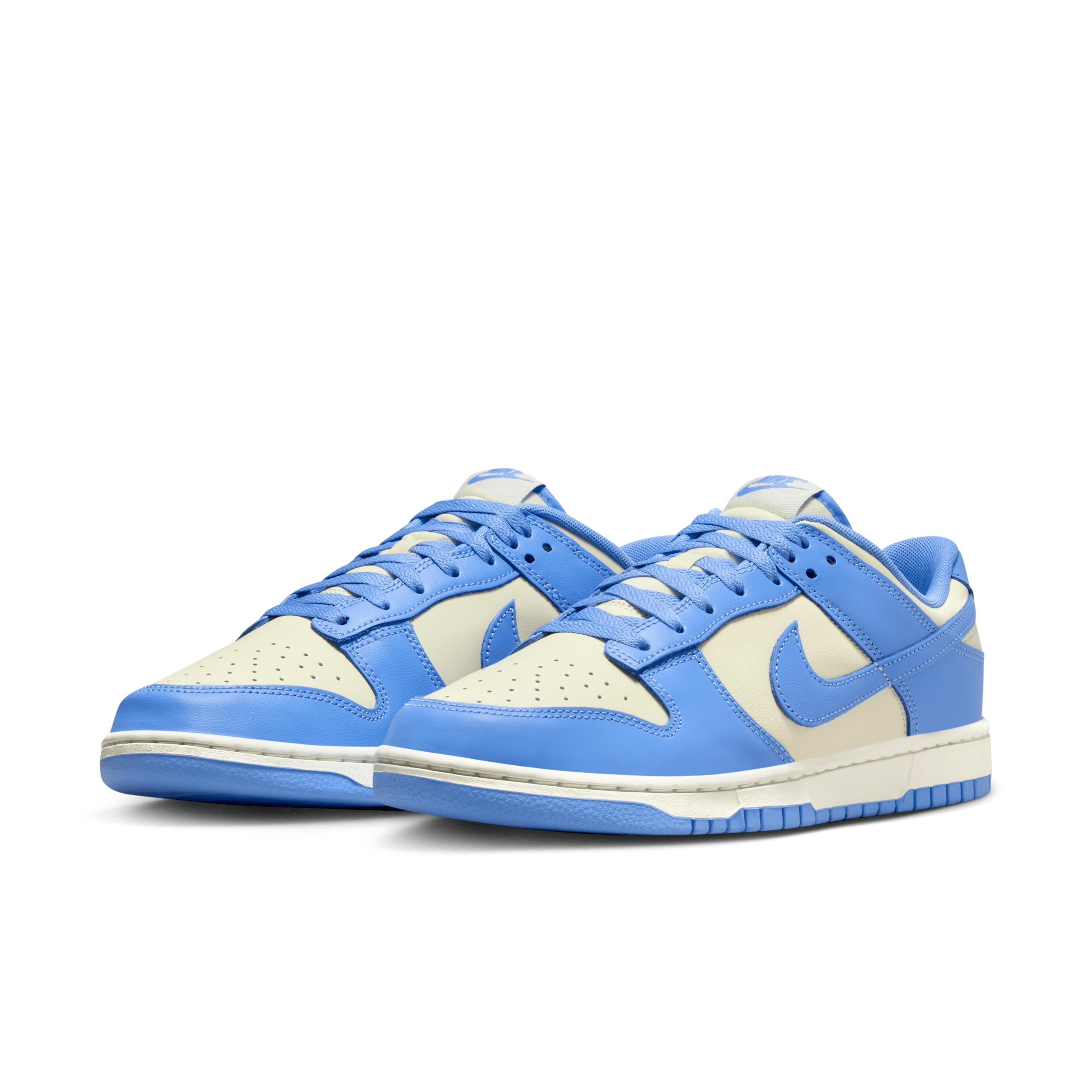 Nike Dunk Low Retro Casual Shoes (Mens Sizing) Product Image