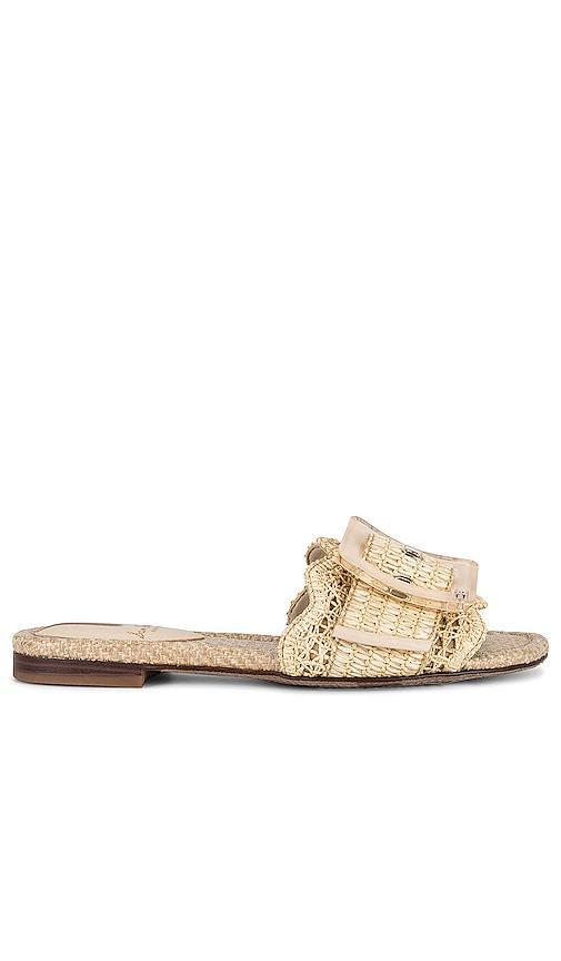 Sam Edelman Bambi Raffia Oversized Buckle Detail Slide Sandals Product Image