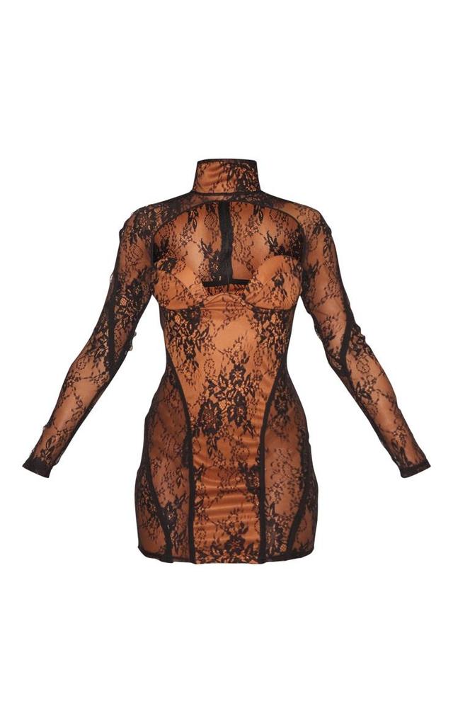 Black Sheer Lace Contrast Detail Bodycon Dress Product Image