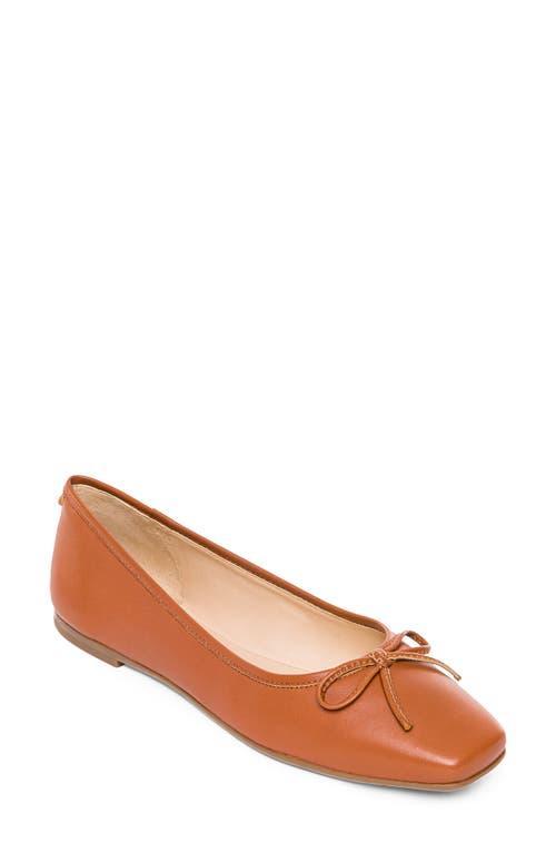 BERNARDO FOOTWEAR Square Toe Ballet Flat Product Image