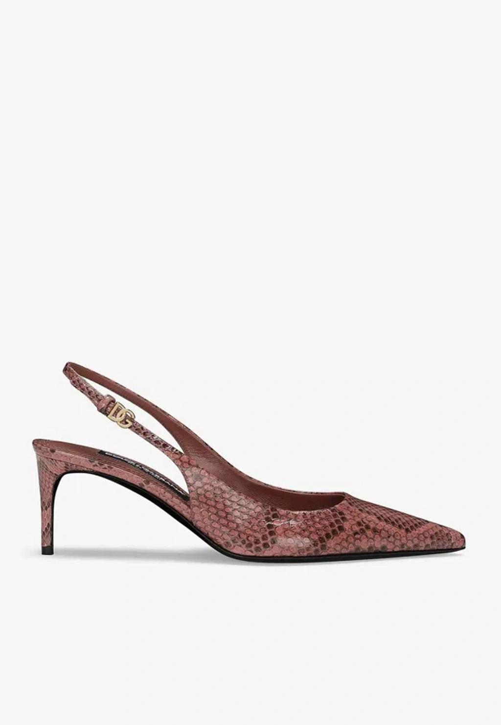 DOLCE & GABBANA Snakeskin-effect Slingback Pumps In Multicolor Product Image