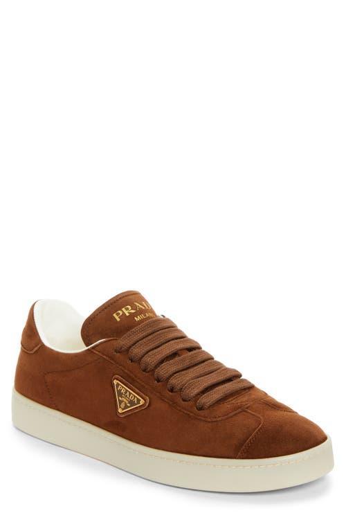 Lane Triangle Logo Low Top Sneaker In Rovere Product Image