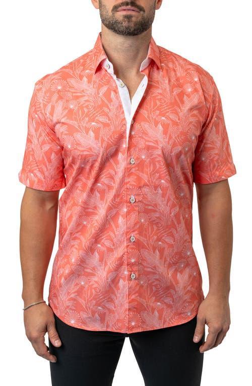 Maceoo Galileo Leaf 45 Orange Contemporary Fit Short Sleeve Button-Up Shirt at Nordstrom Product Image