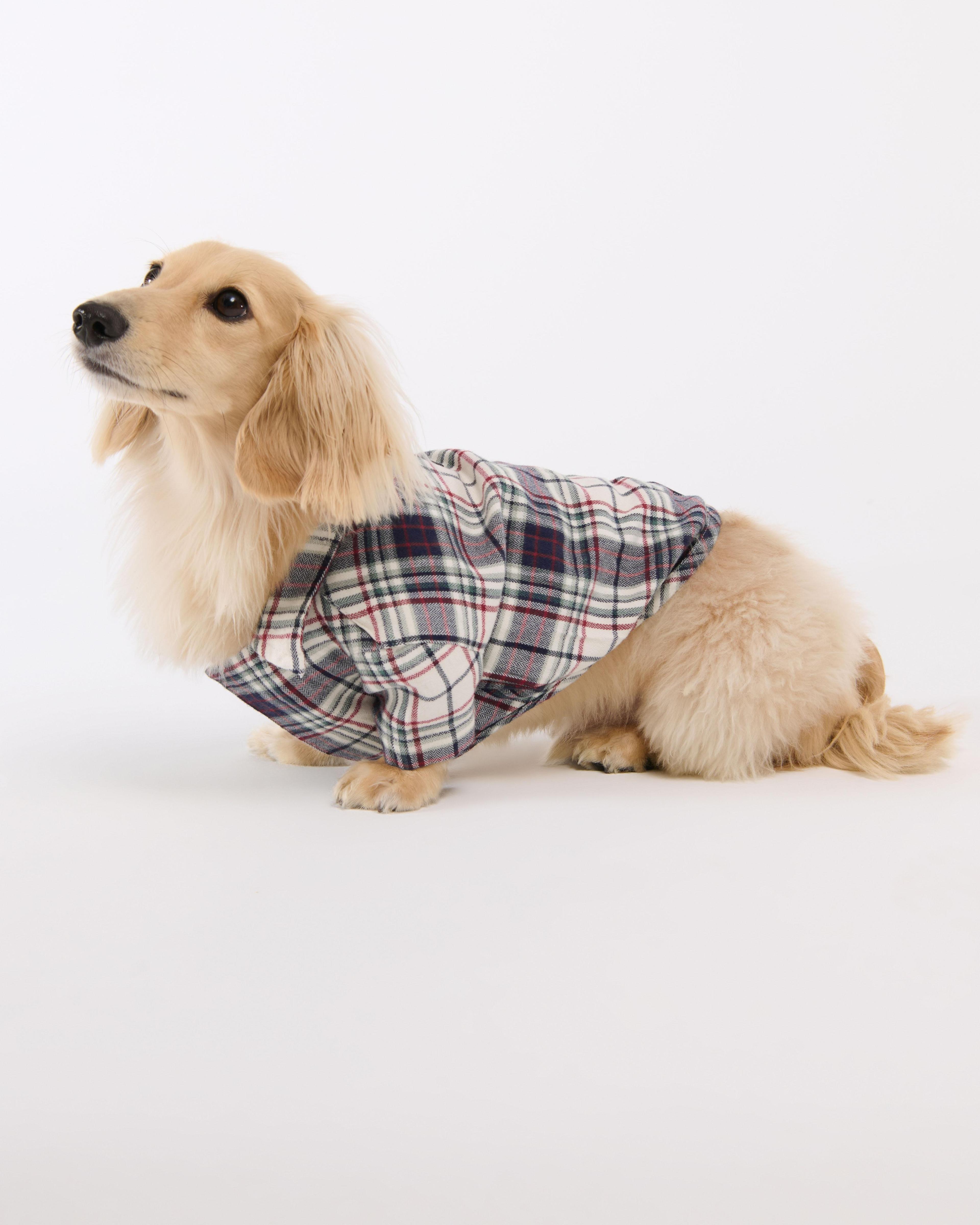 A&F Pet Flannel Product Image