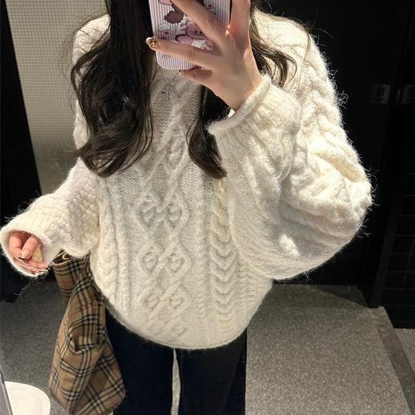 Crew Neck Plain Cable Knit Sweater Product Image