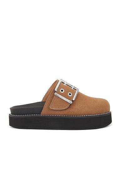 Suede Buckle Mule Product Image