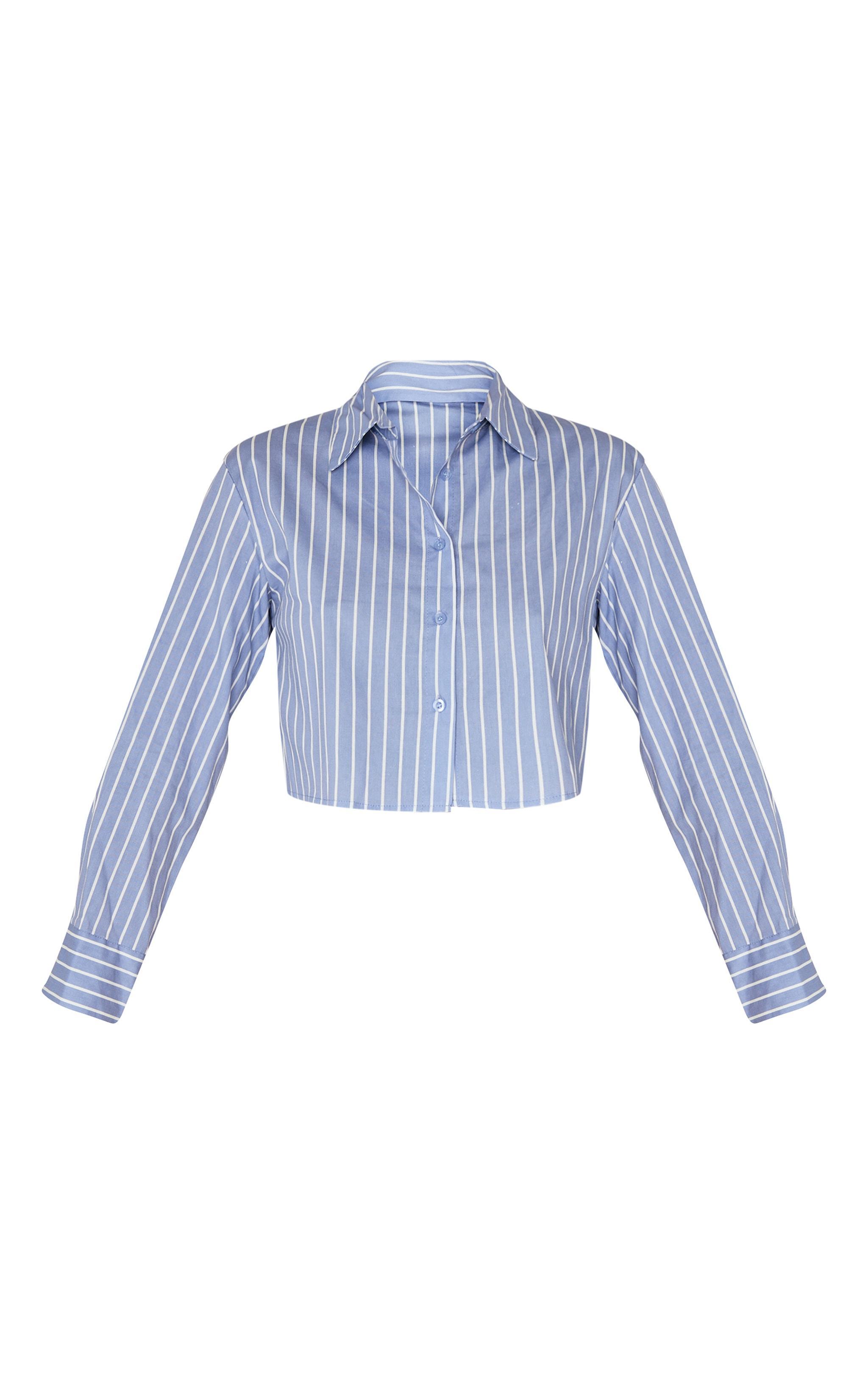 Blue Striped Deep Cuff Shirt Product Image