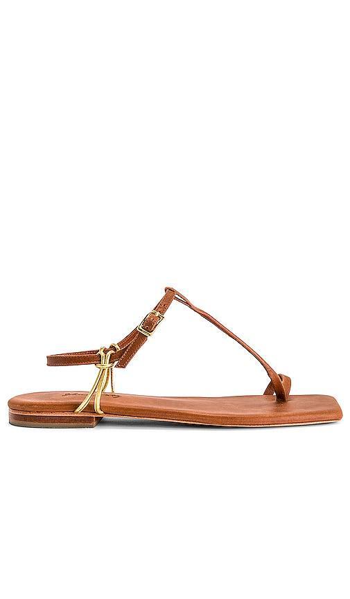 Sun Downer Sandals Product Image