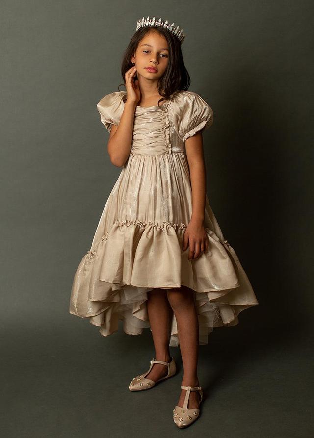 Mathilda Petticoat Dress in Champagne Iridescent Product Image