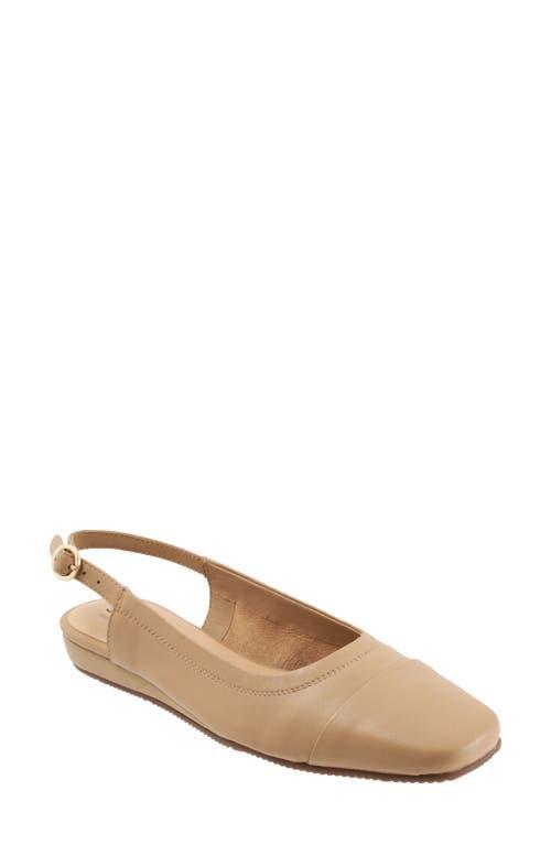 SoftWalk Vittoria Slingback Flat Product Image