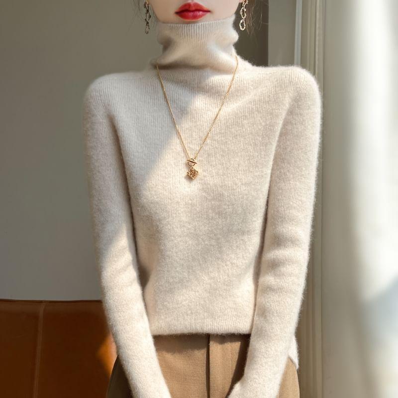 Turtleneck Plain Sweater Product Image