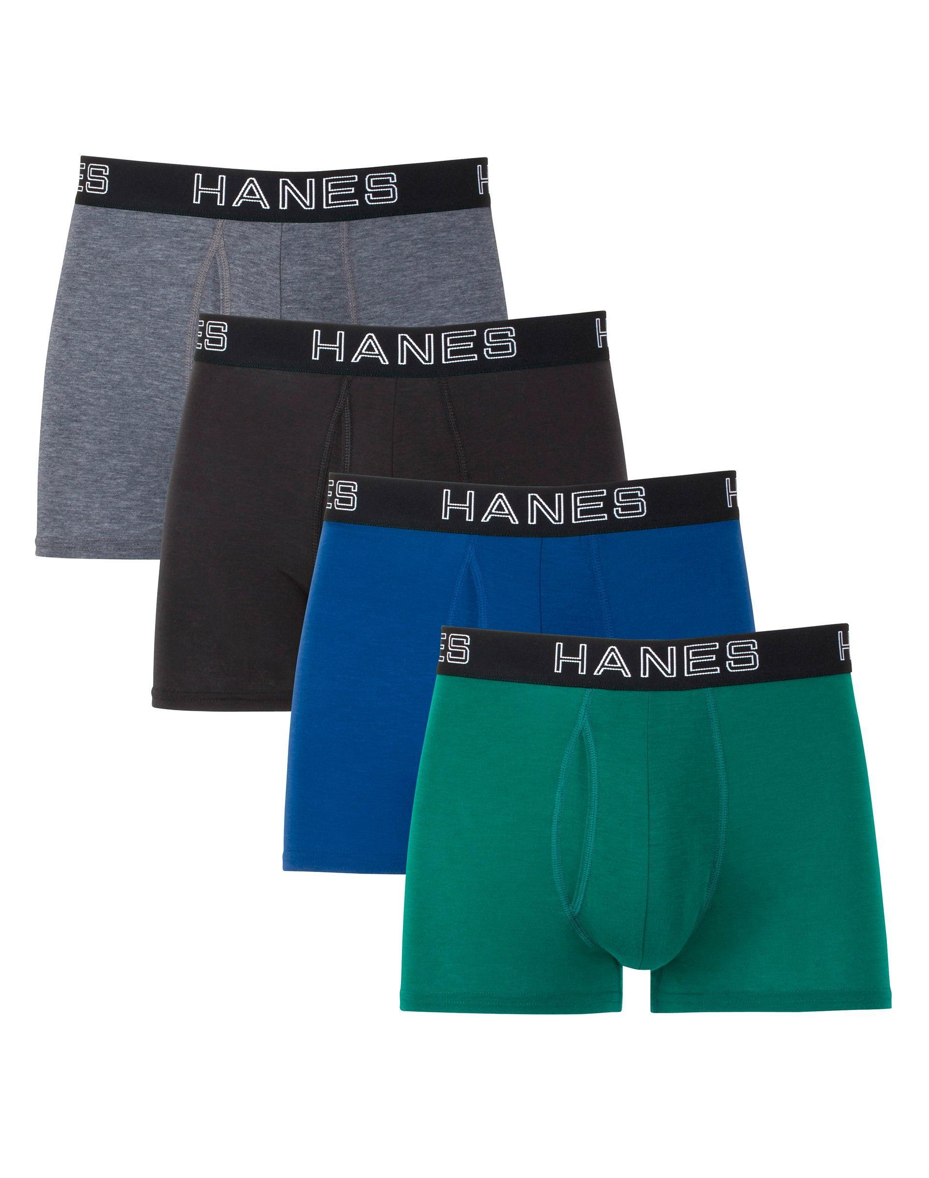 Mens Hanes Ultimate 4-Pack Comfort Flex Fit Total Support Pouch Trunks Product Image