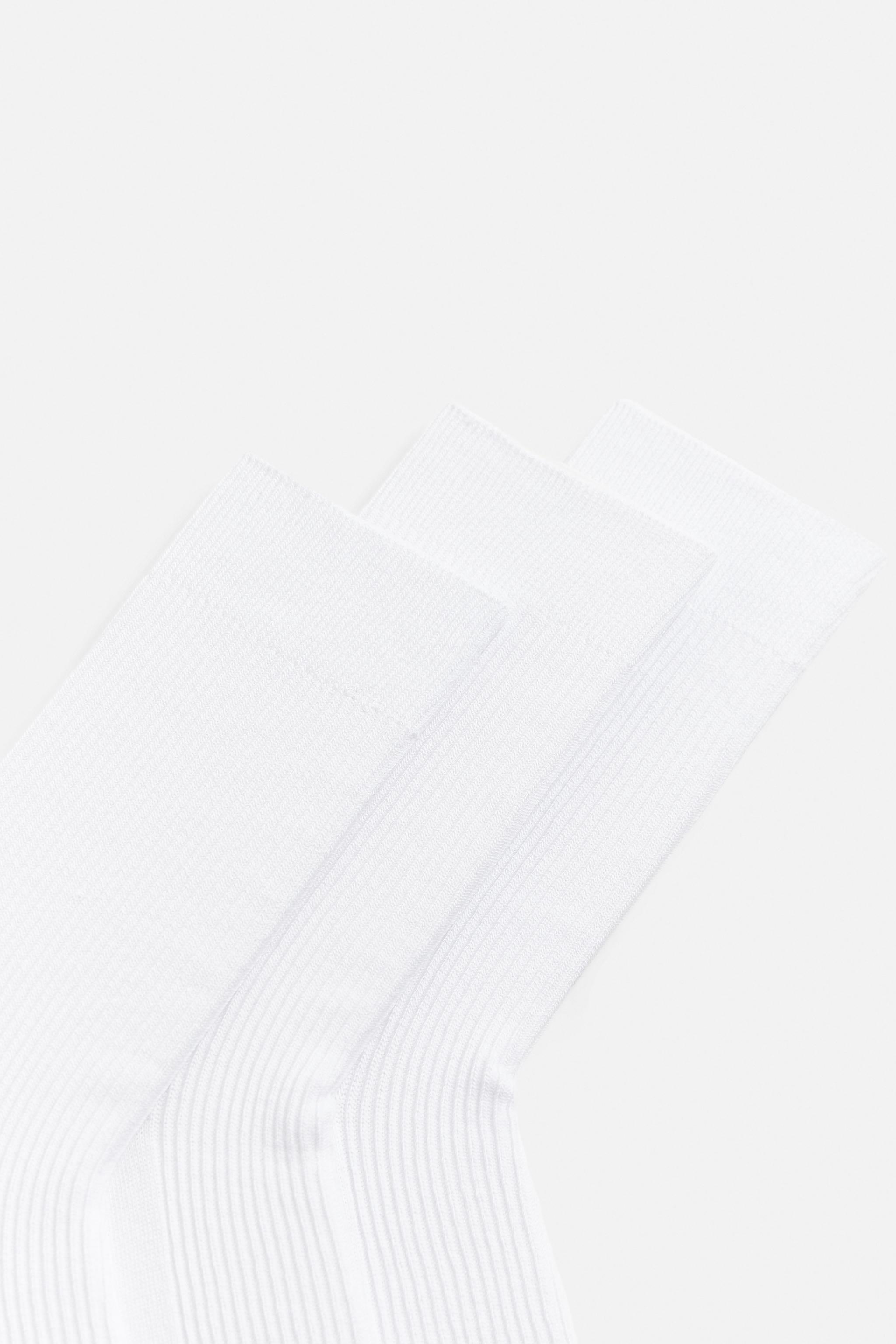 3-PACK OF RIB SOCKS Product Image