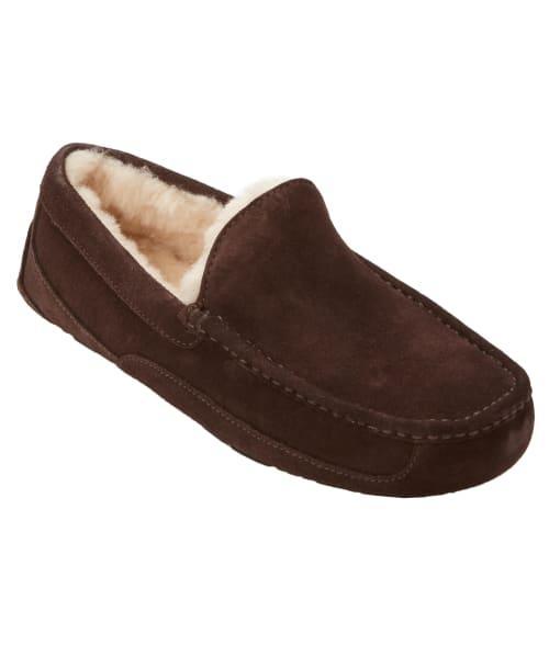 UGG Mens UGG Ascot - Mens Shoes Product Image