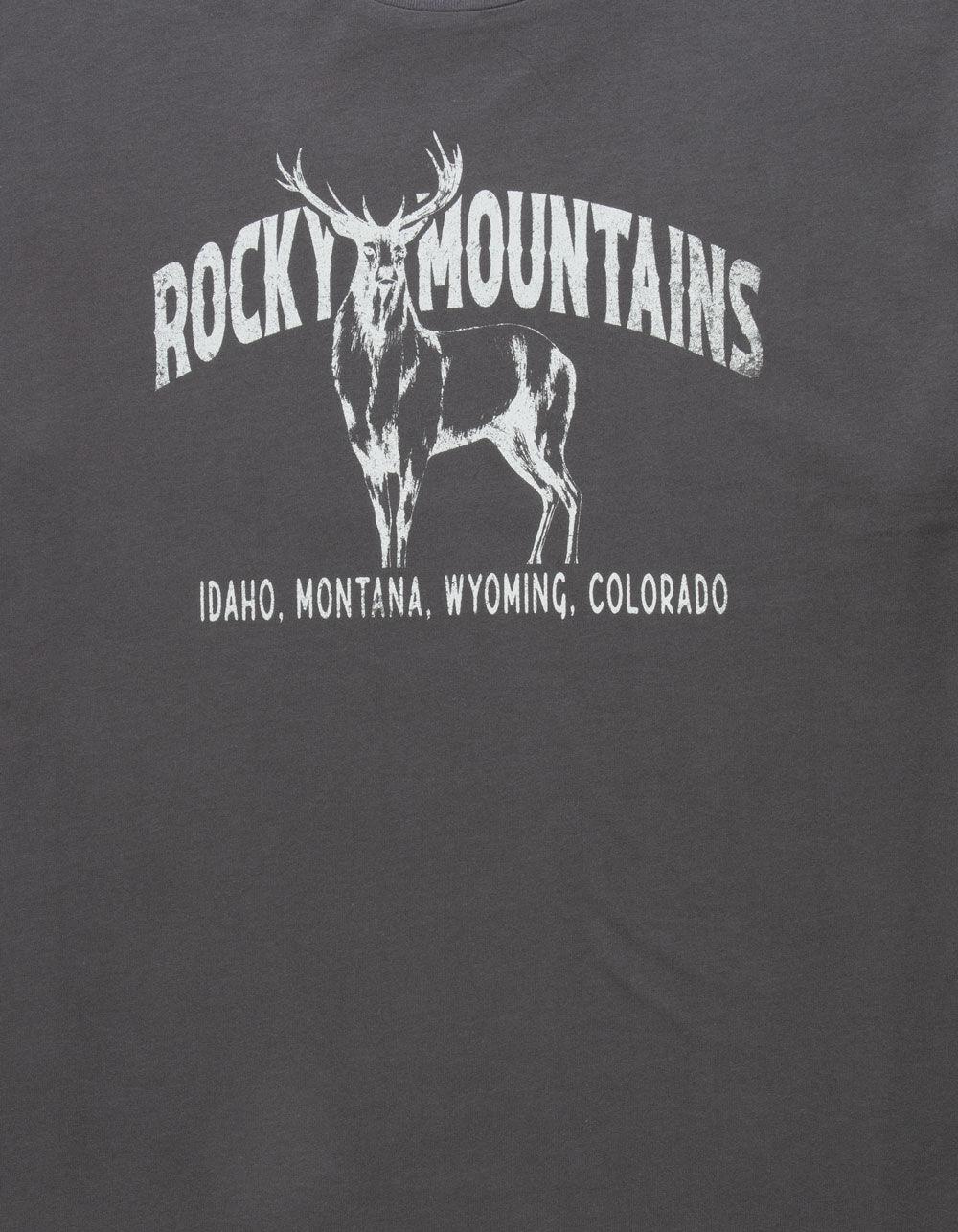 RSQ Mens Oversized Rocky Mountain Tee Product Image