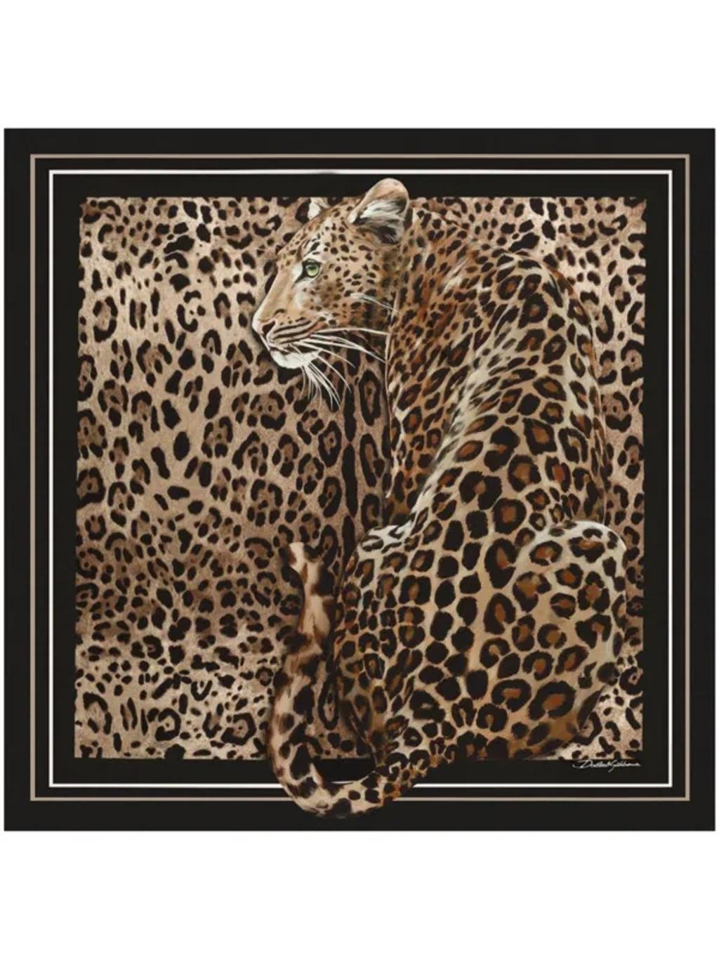 DOLCE & GABBANA Leopard-print Scarf In Brown Product Image