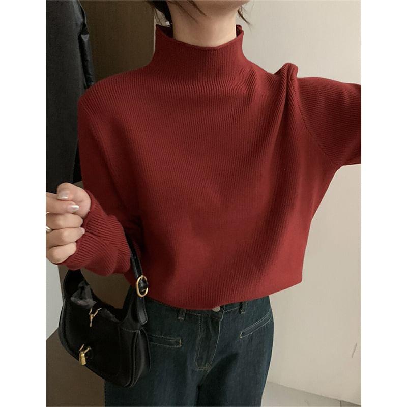 Long-Sleeve Turtleneck Ribbed Knit Top Product Image