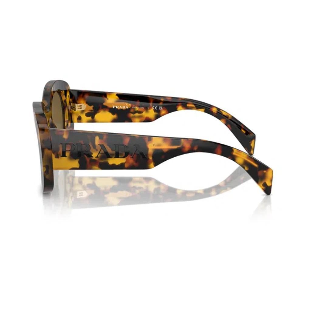 Sunglasses In Marrone/marrone Product Image