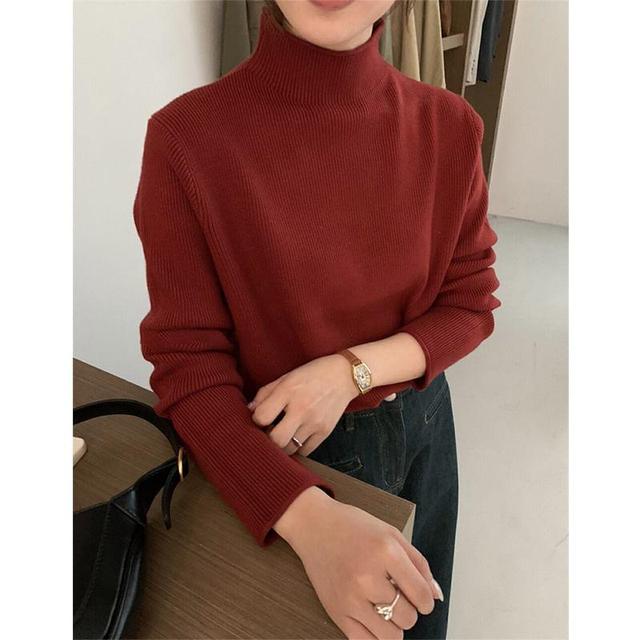 Long-Sleeve Turtleneck Ribbed Knit Top Product Image