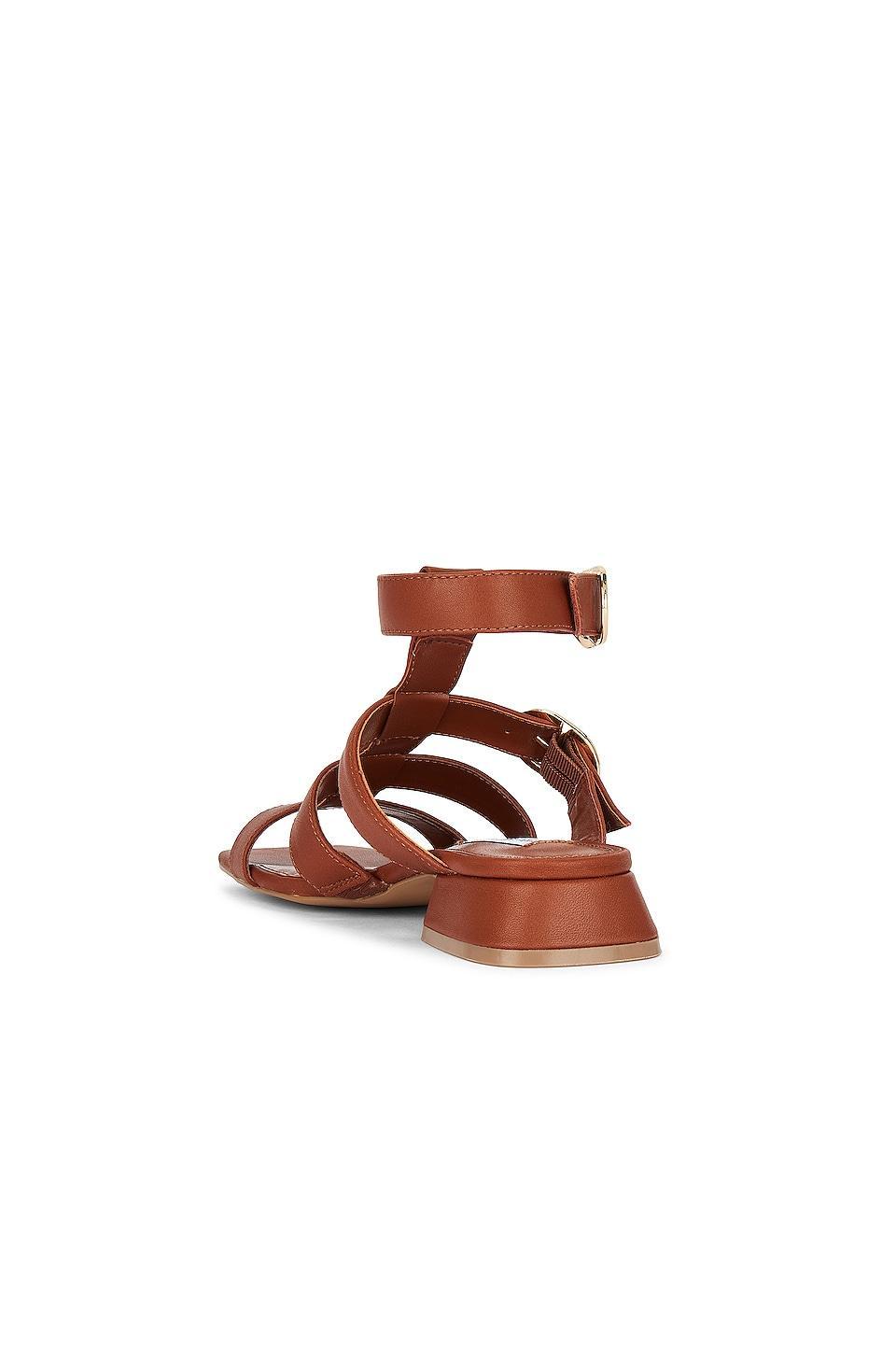 Aylin Sandal Steve Madden Product Image