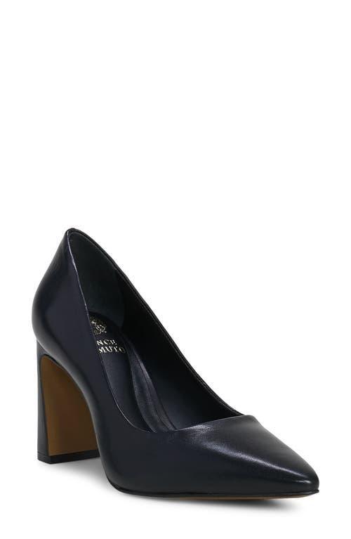 Vince Camuto Dalmanara Pointed Toe Pump Product Image