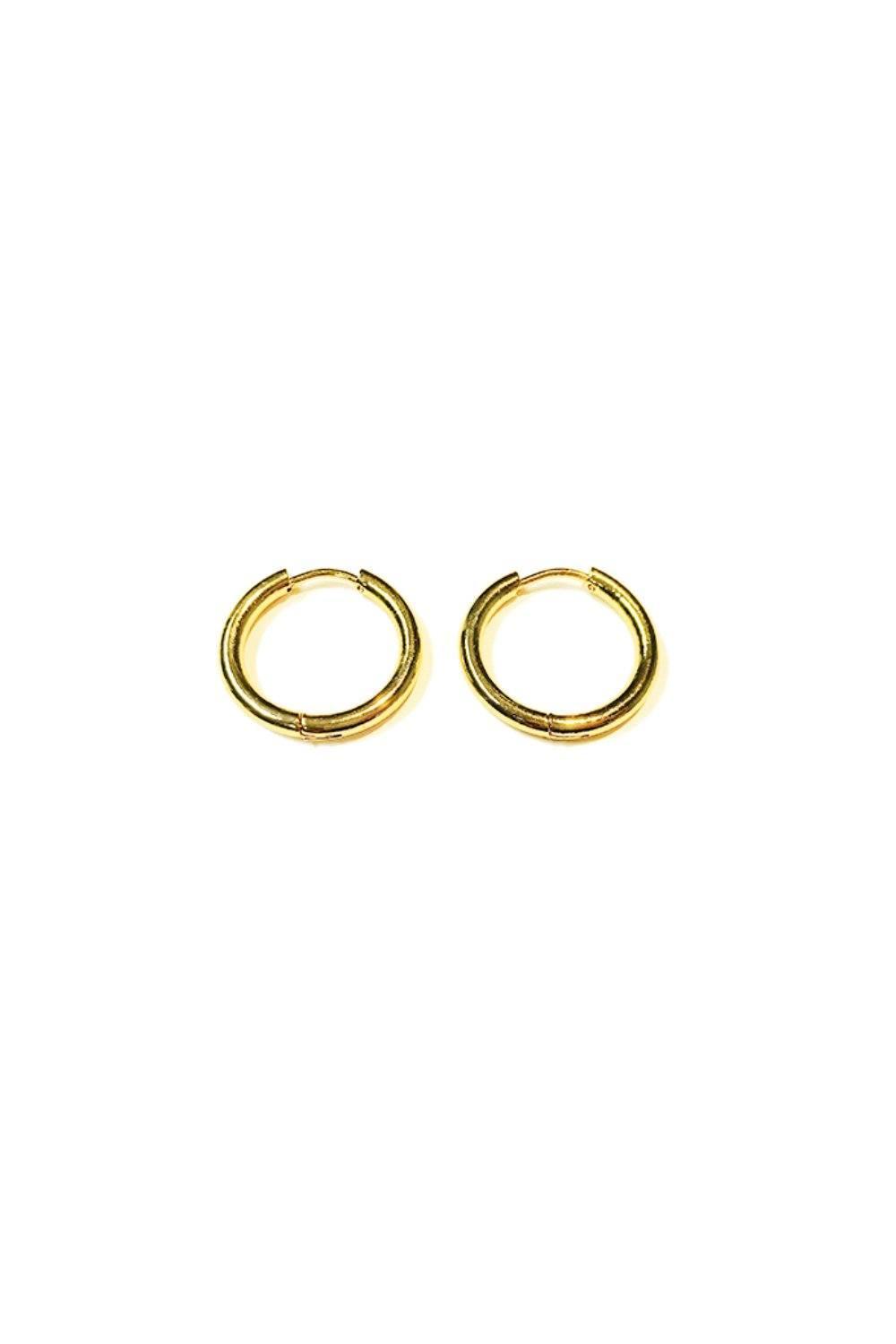 Hoop Earrings Product Image