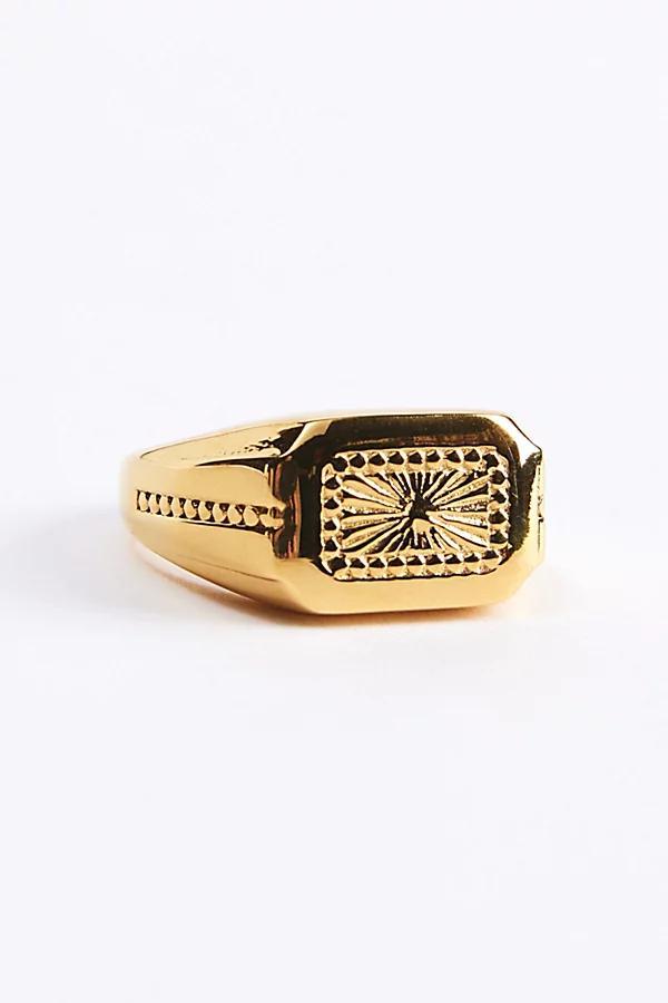 Theo Signet Ring Mens at Urban Outfitters Product Image