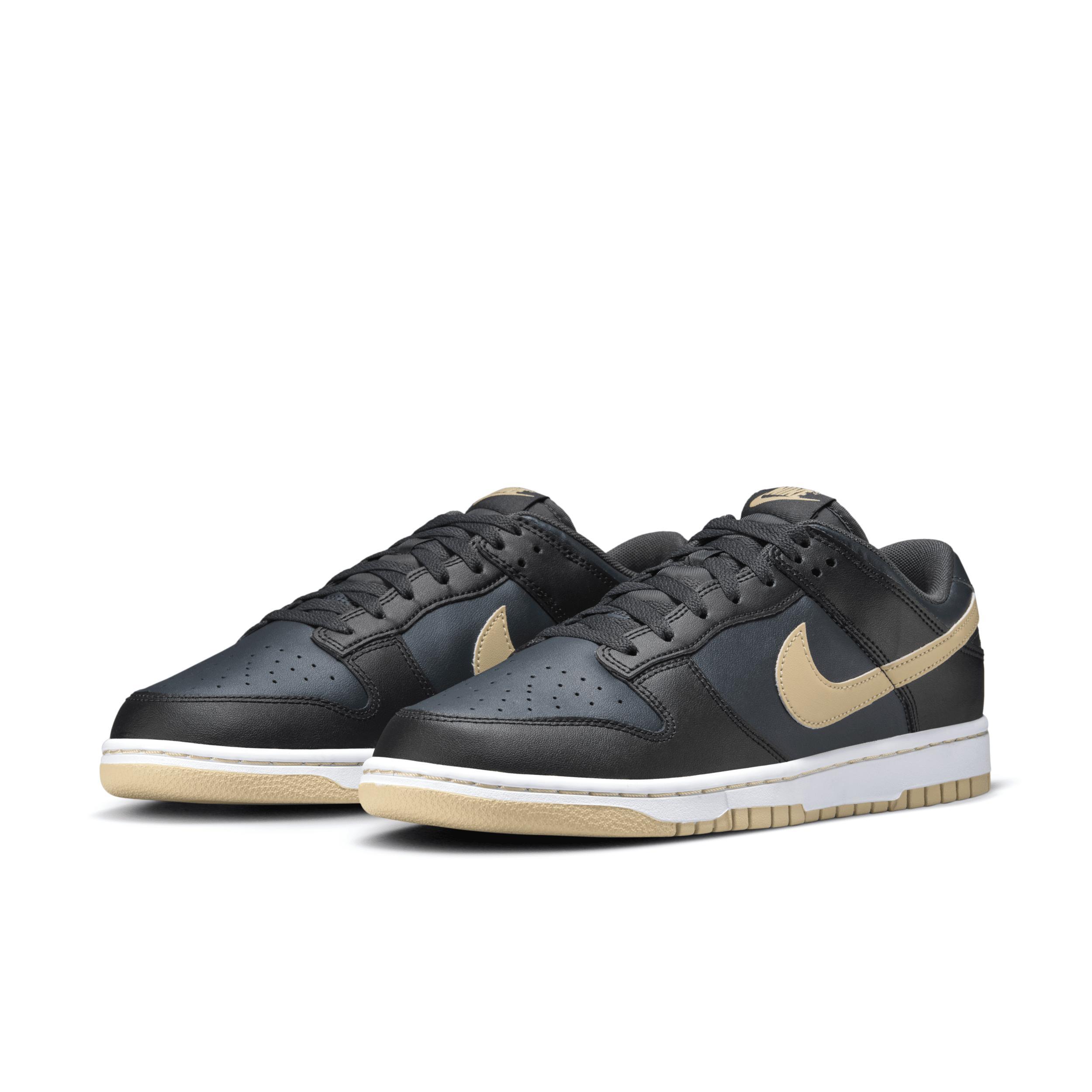 Nike Men's Dunk Low Retro Shoes Product Image