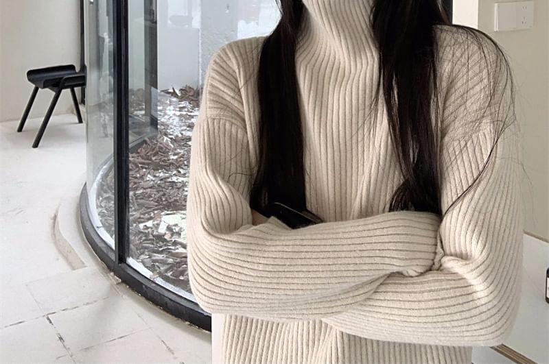 Turtleneck Plain Ribbed Sweater Product Image