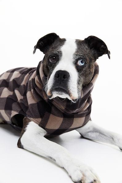 Fleece Top for Dog Product Image