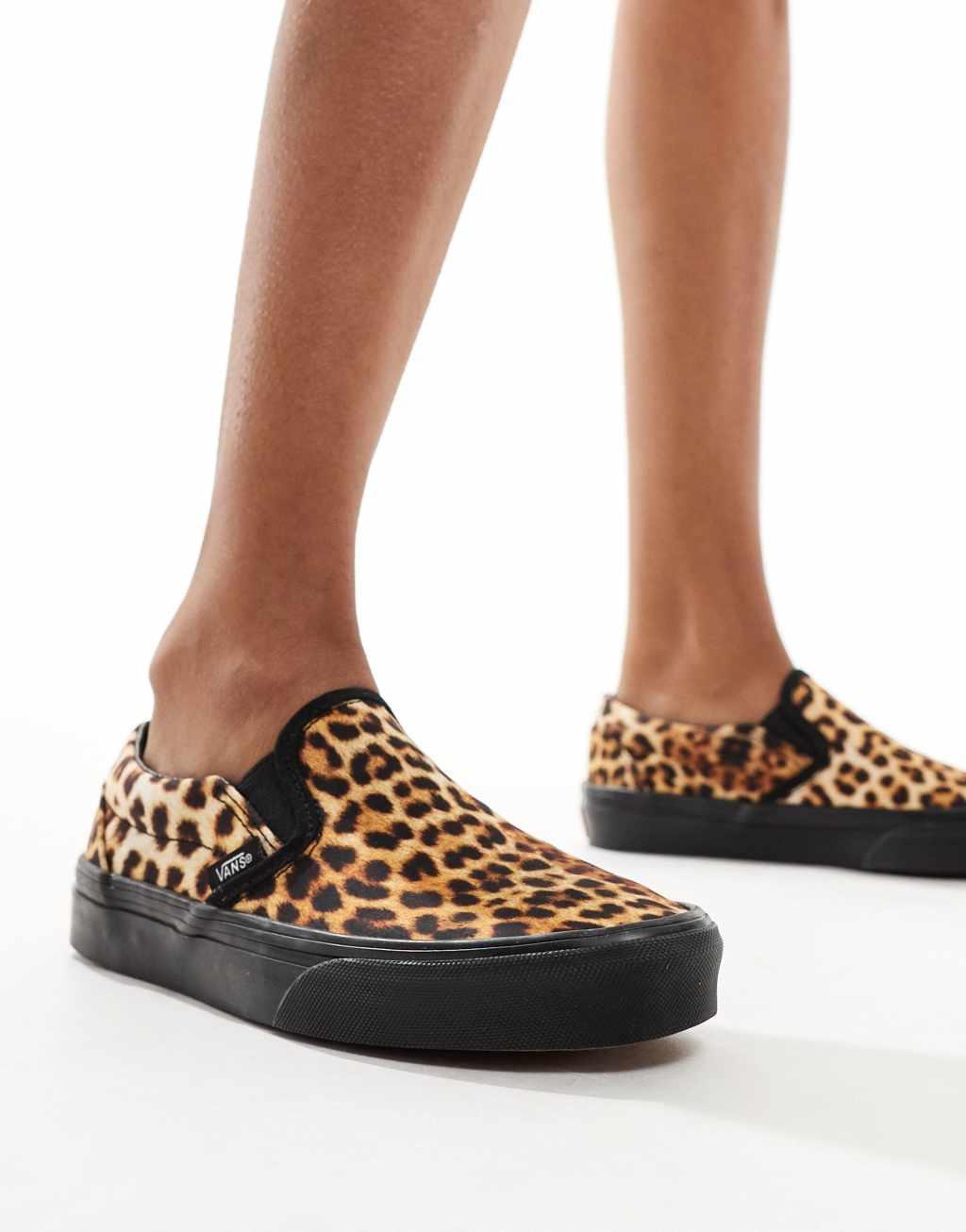 Vans Classic slip on sneakers in leopard print Product Image