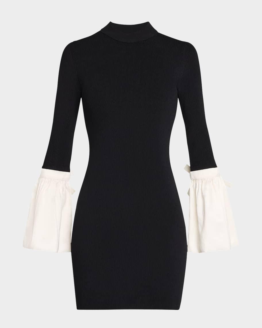 Agathea Knit Combo Bodycon Mini Dress Product Image