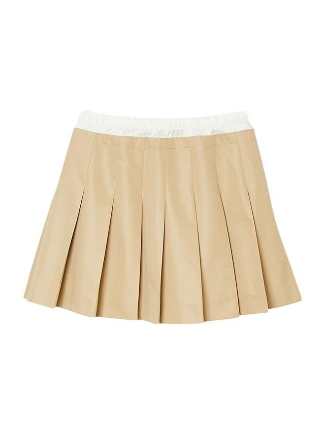 Womens Pleated Skirt Product Image