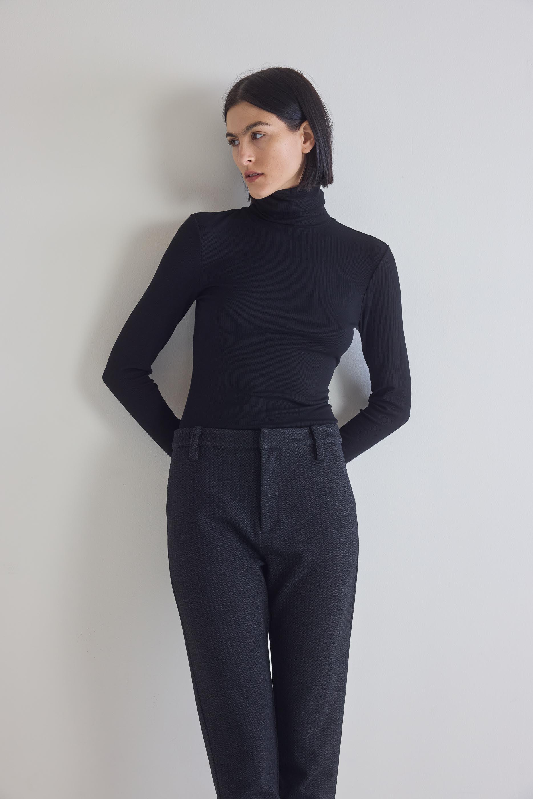 The Ribbed Turtleneck Product Image