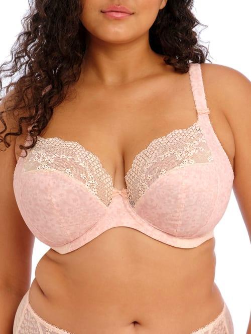 Elomi Lucie Full Figure Underwire Plunge Bra Product Image