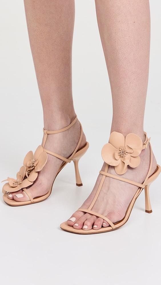 Zimmermann Orchid Sandals 85mm | Shopbop Product Image