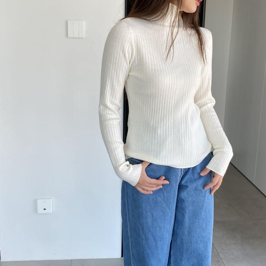 Turtleneck Plain Ribbed Sweater Product Image