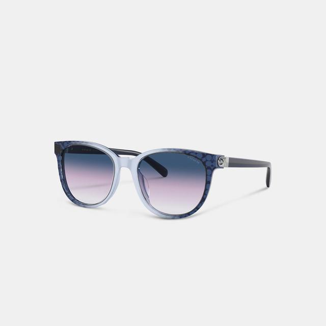 Horse And Carriage Round Sunglasses Product Image