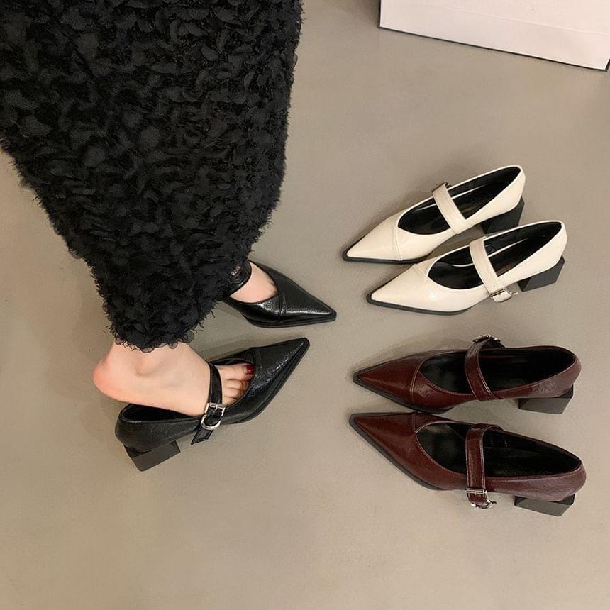 Pointed Toe Block Heel Mary Jane Pumps Product Image