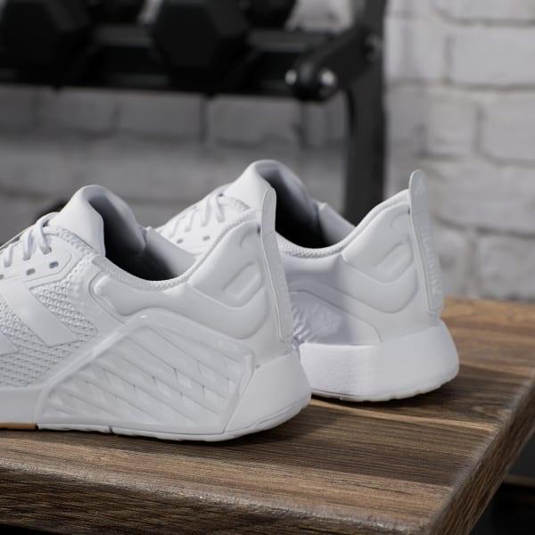 Dropset 3 strength training shoes Product Image