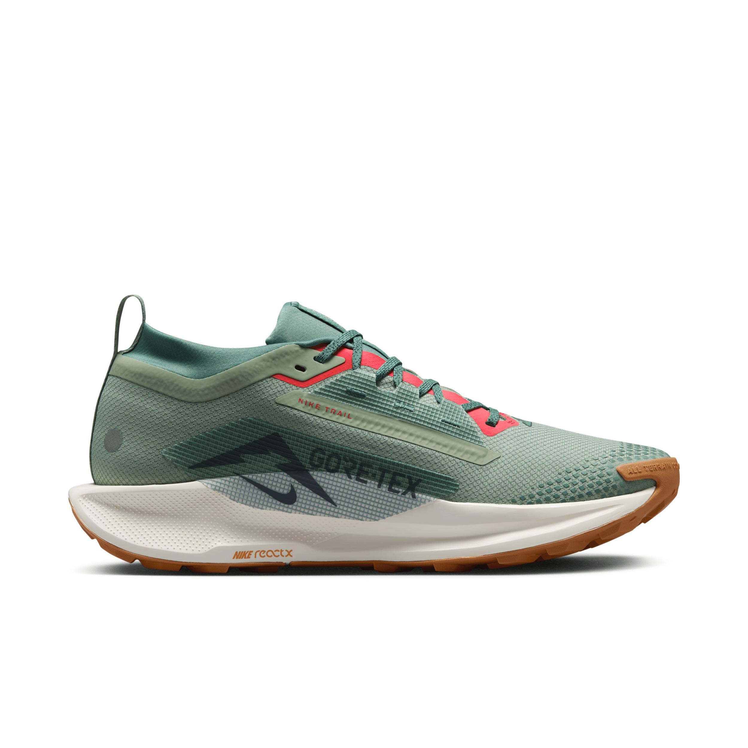 Nike Men's Pegasus Trail 5 GORE-TEX Waterproof Trail Running Shoes Product Image