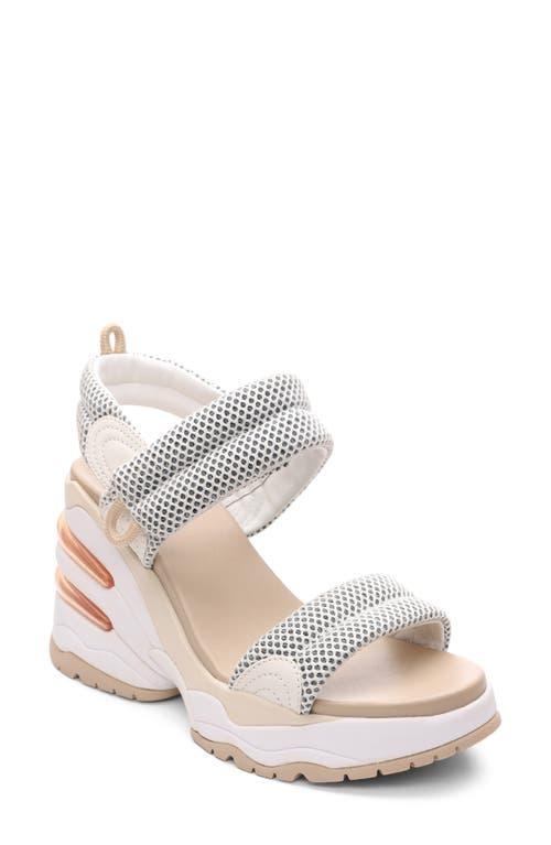 Ash Cosmos Wedge Sandal Product Image