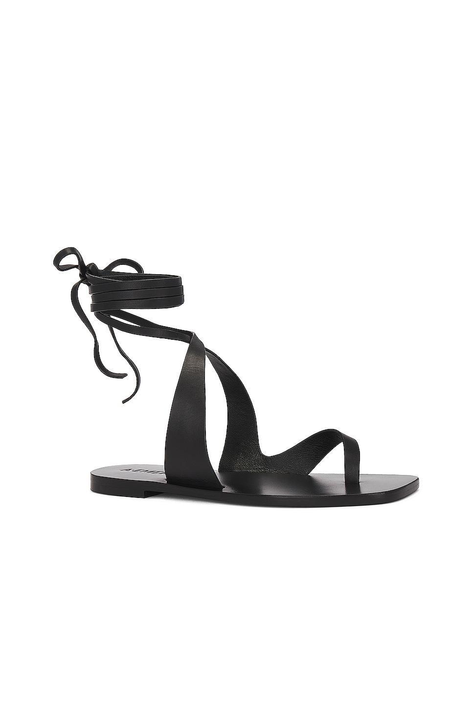 A.EMERY Marguax Sandal in Black - Black. Size 38 (also in ). Product Image