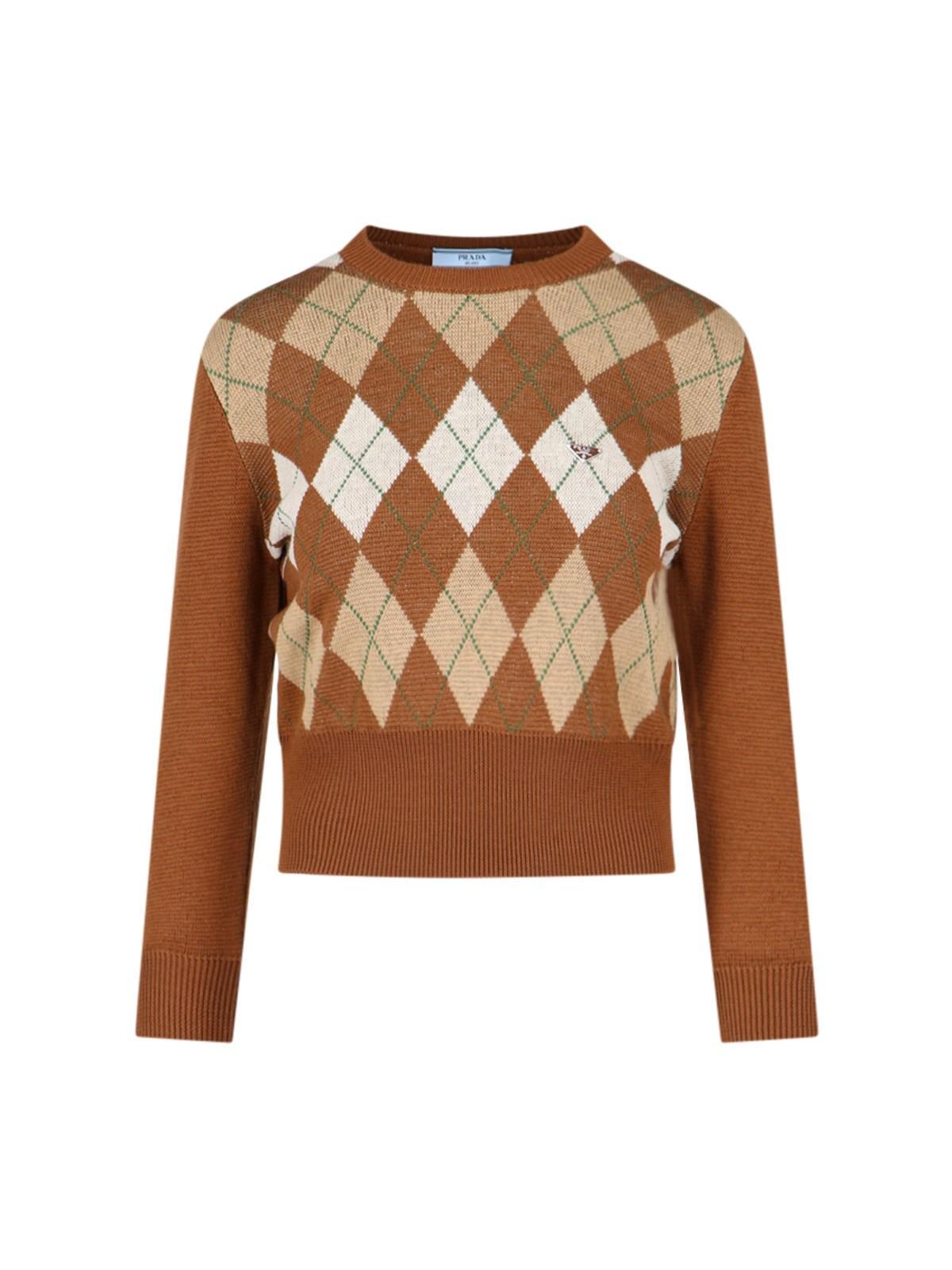 Logo Crop Sweater In Brown Product Image