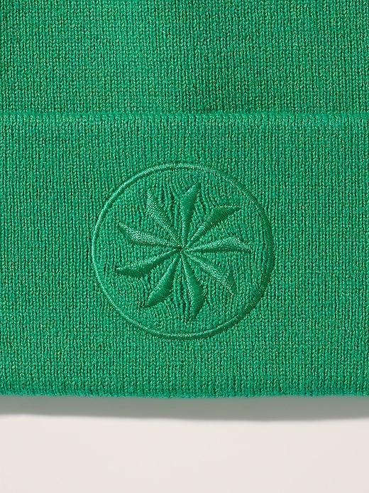 Head Start Beanie Product Image