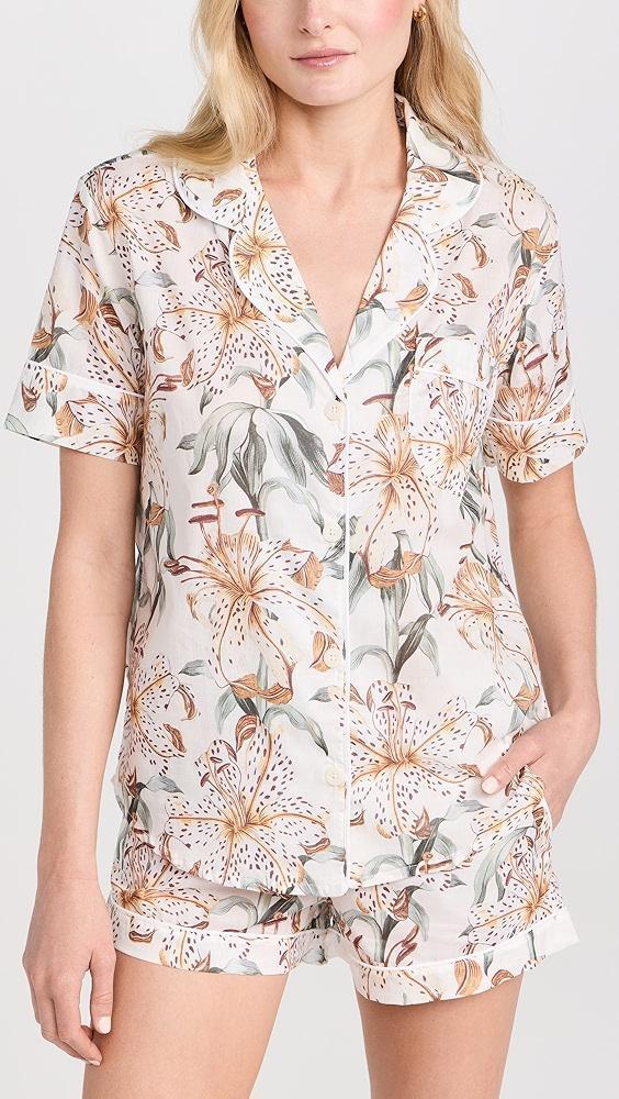 Desmond & Dempsey Womens Short Sleeve Set | Shopbop Product Image