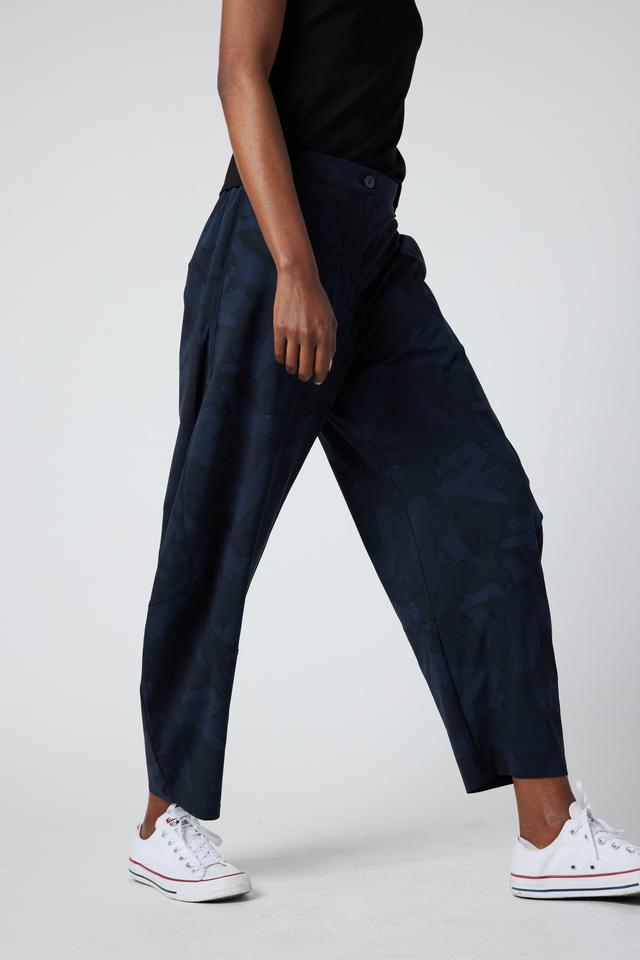 The Brushstroke Wide-ish Pants Product Image