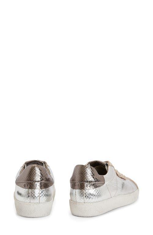 Sheer Low Top Sneaker In Silver/gold Product Image