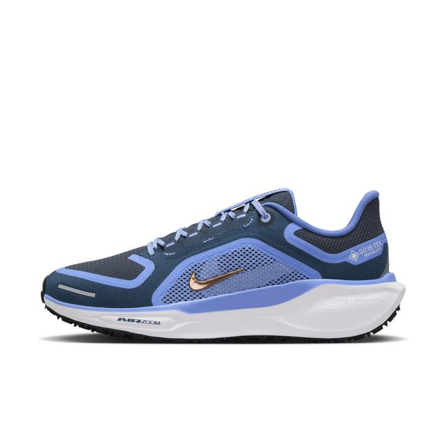 Nike Women's Pegasus 41 GORE-TEX Waterproof Road Running Shoes Product Image